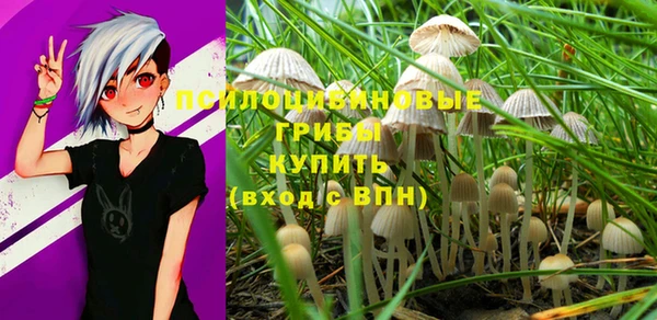 кокс Алексеевка